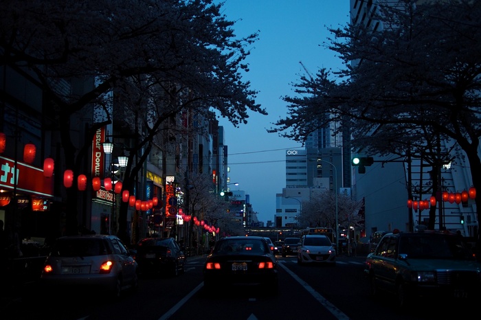 Street at night with cherry blossoms and red lanterns