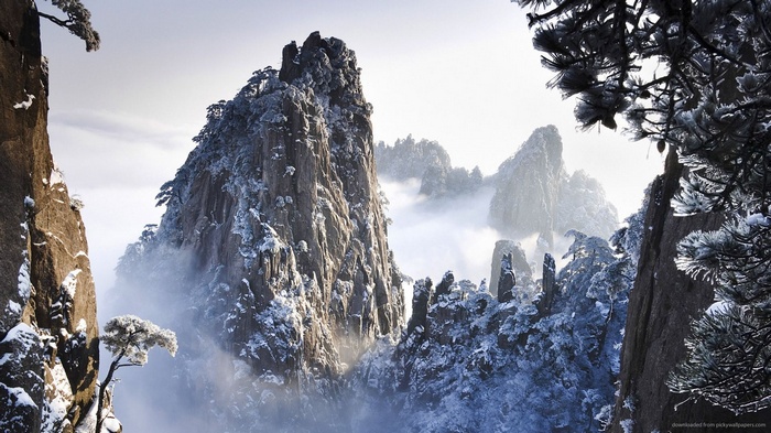 Snow-covered mountains with mist and pine trees