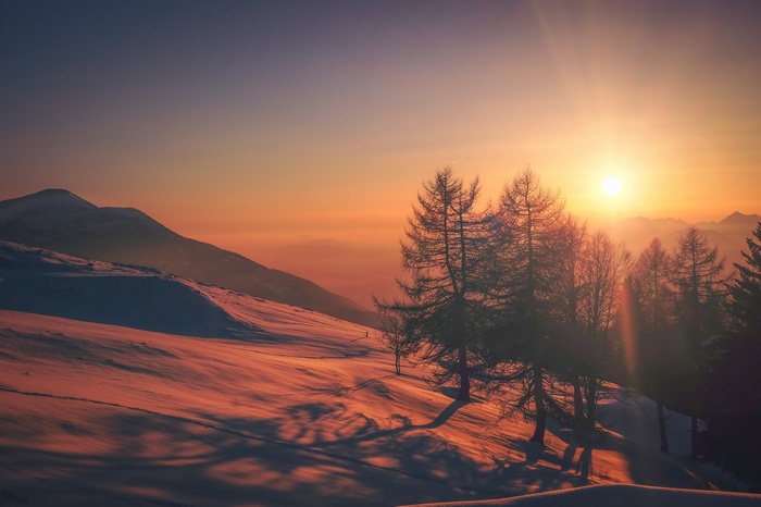 Snowy mountain landscape at sunset with trees