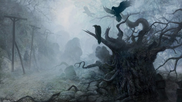 Creepy forest with dead trees and crows