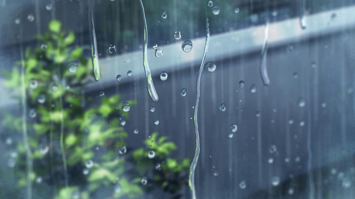 Rain on Window from The Garden of Words
