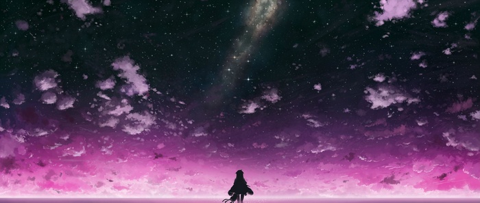 Silhouette of a girl and dog under a starry sky