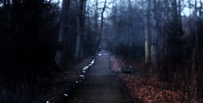 A lonely path through a dark forest