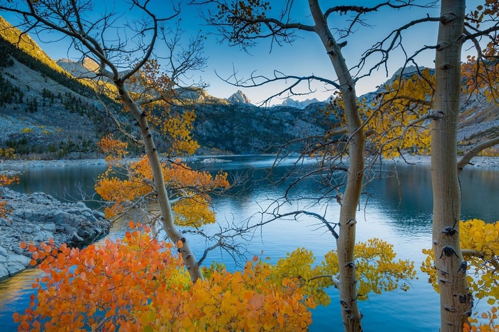Autumn trees frame a calm lake with mountains in the background