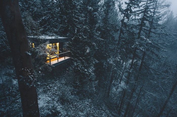 Cozy cabin in a snowy forest