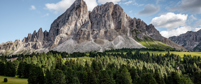 Mountain range with pine forest and green meadow