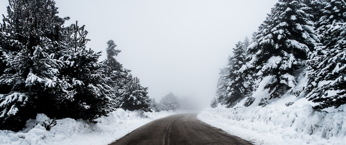 A winding road through a snowy forest on a foggy day