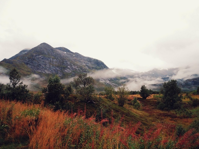 Misty mountains and autumn foliage landscape