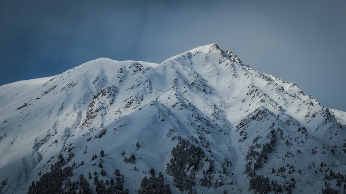 Snow-covered mountains with scattered trees under a cloudy sky