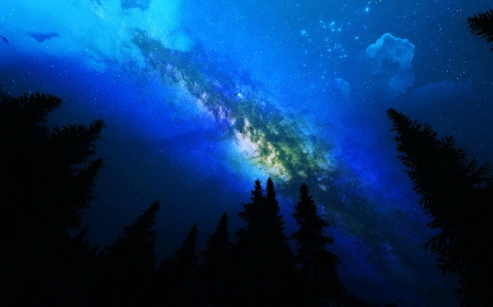 Milky Way over silhouetted pine trees