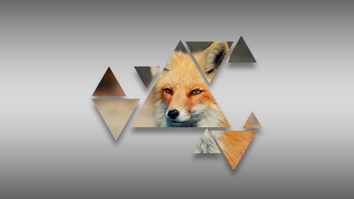 Fox face fragmented by triangles
