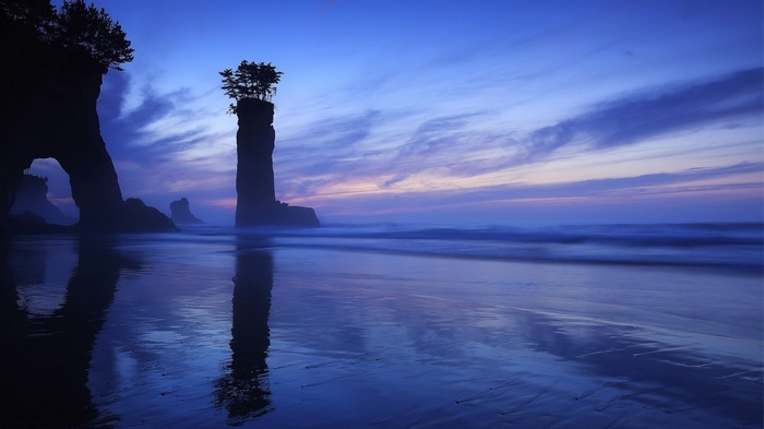 Coastal rock formations with trees at sunset
