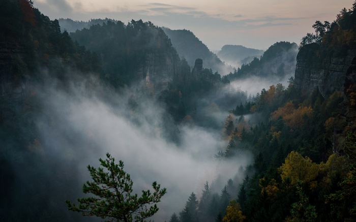Misty Mountains and Forest Landscape by Philipp Zieger