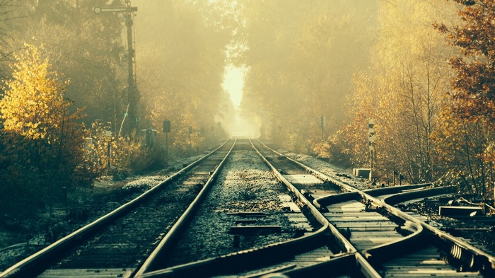 Train tracks in a foggy forest during autumn