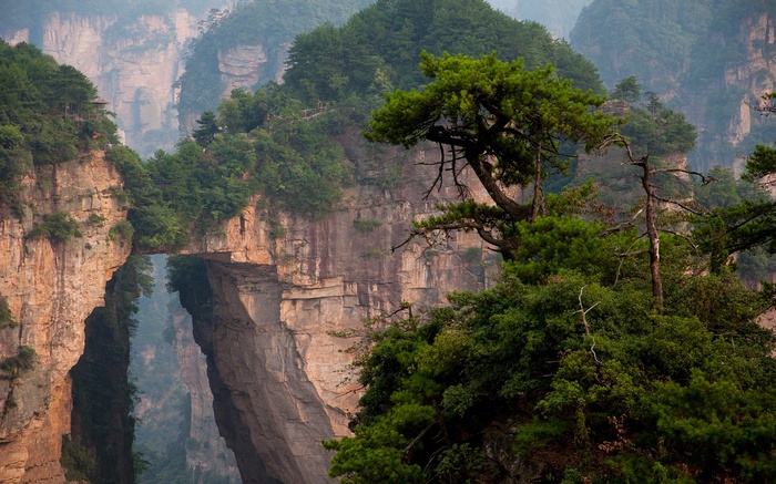 Natural rock bridge spanning a deep canyon with lush greenery