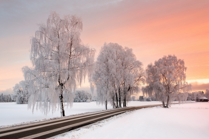 Winter landscape with frosted trees and a road at sunset