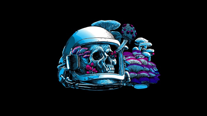 Astronaut helmet with skull and mushrooms