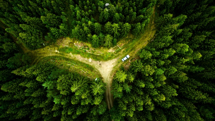 Aerial view of a forest road splitting