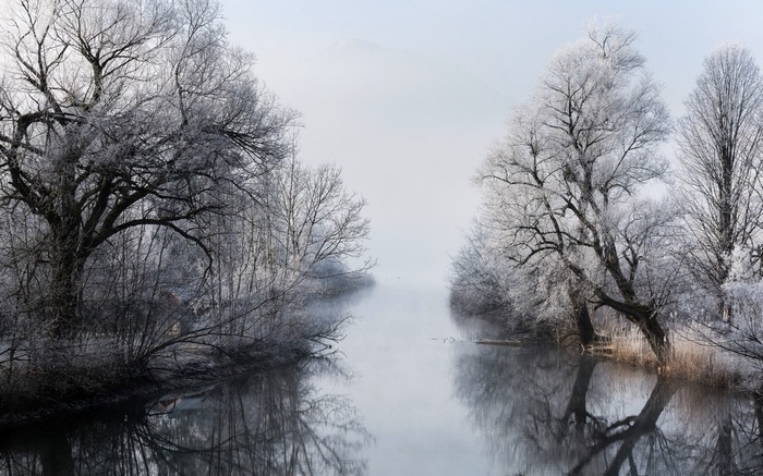Frozen trees reflected in a misty river in winter