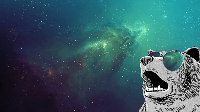 Bear wearing sunglasses in outer space