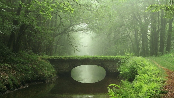 Stone bridge over a canal in a misty forest