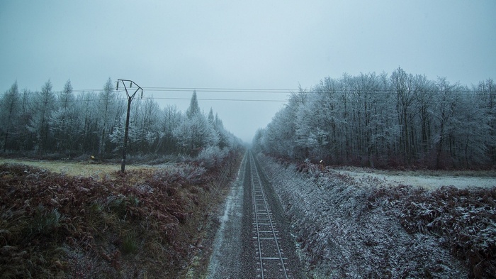 Winter railway landscape with frosted trees and power lines
