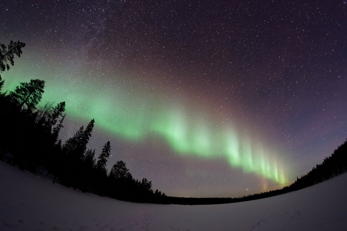 Aurora Borealis over a snowy forest and starry sky