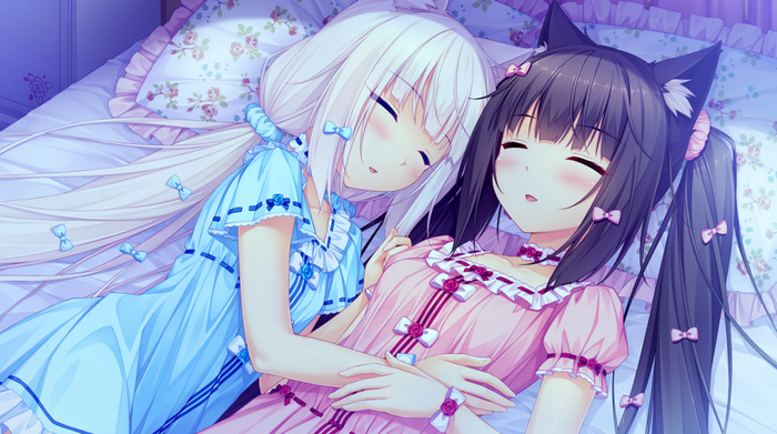 Vanilla and Chocolat sleeping in bed from Neko Para