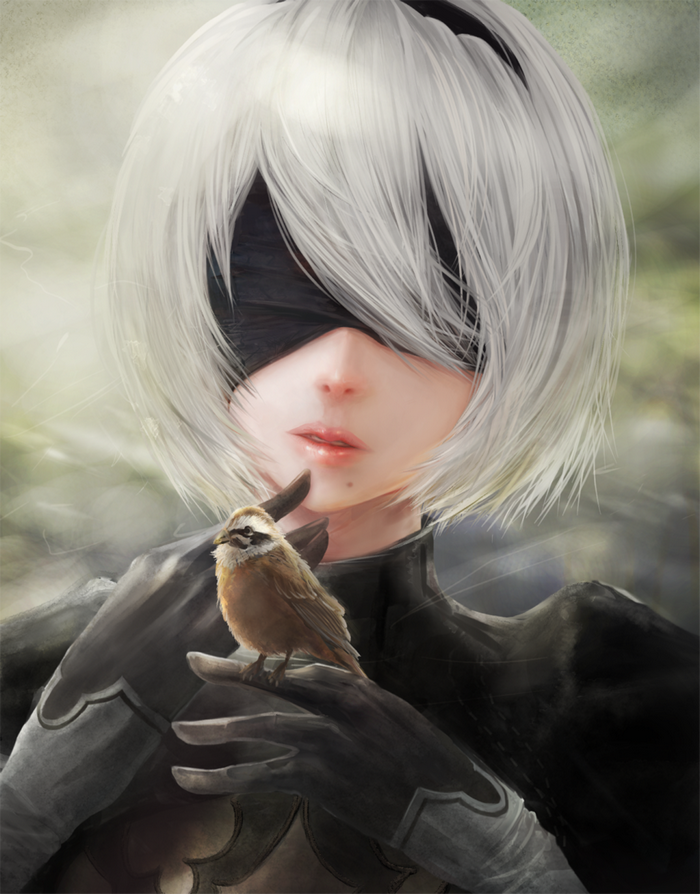 NieR, 2B (Nier: Automata), birds, animals, elbow gloves, Nier: Automata