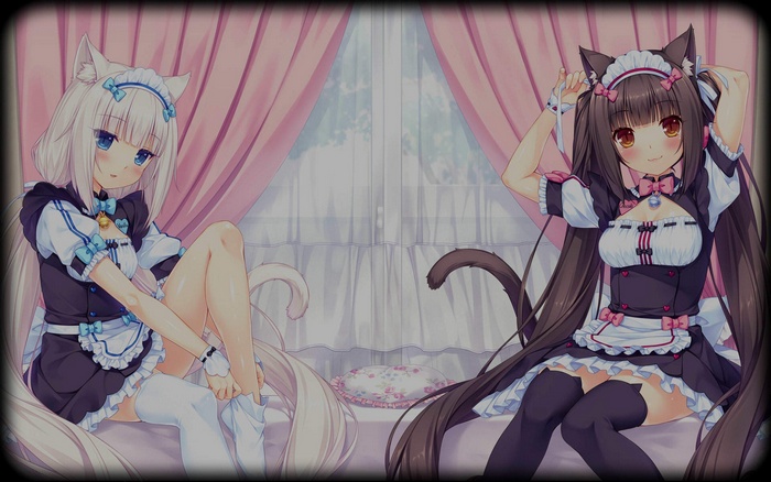 Vanilla and Chocolat from Neko Para