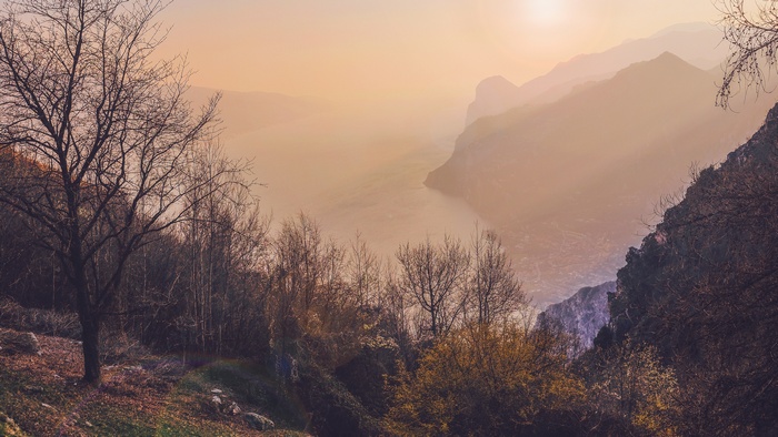 Misty mountains and lake at sunset with trees in foreground