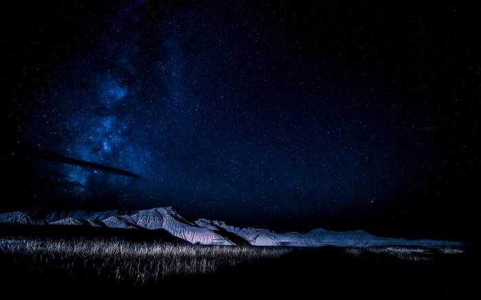 Night sky over mountains and grass