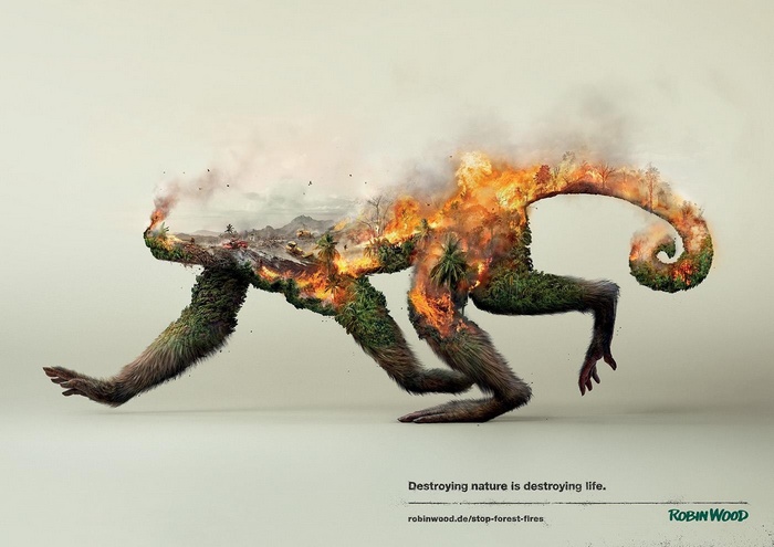 simple background, double exposure, poster, nature, monkey, wildlife, digital art, ecology, forest clearing, destruction, smoke, animals, Robin Wood, fire, artwork, palm trees, environment, trees