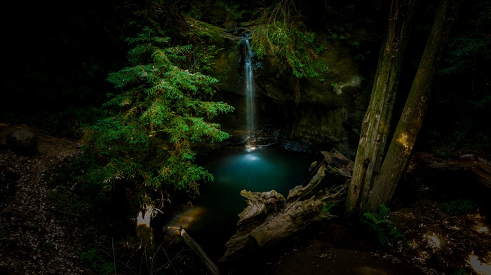 Waterfall cascading into a pool in a dark forest