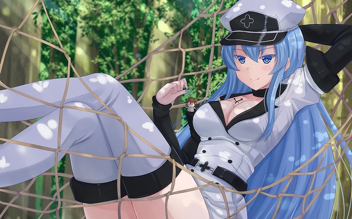 Esdeath from Akame ga Kill! in a net