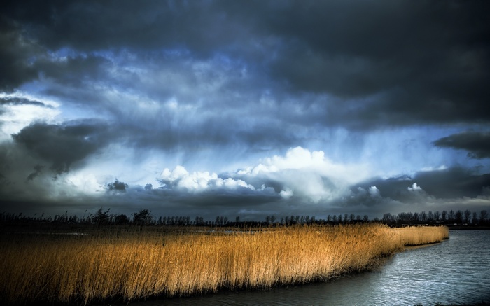 Stormy sky over a reed-lined lake