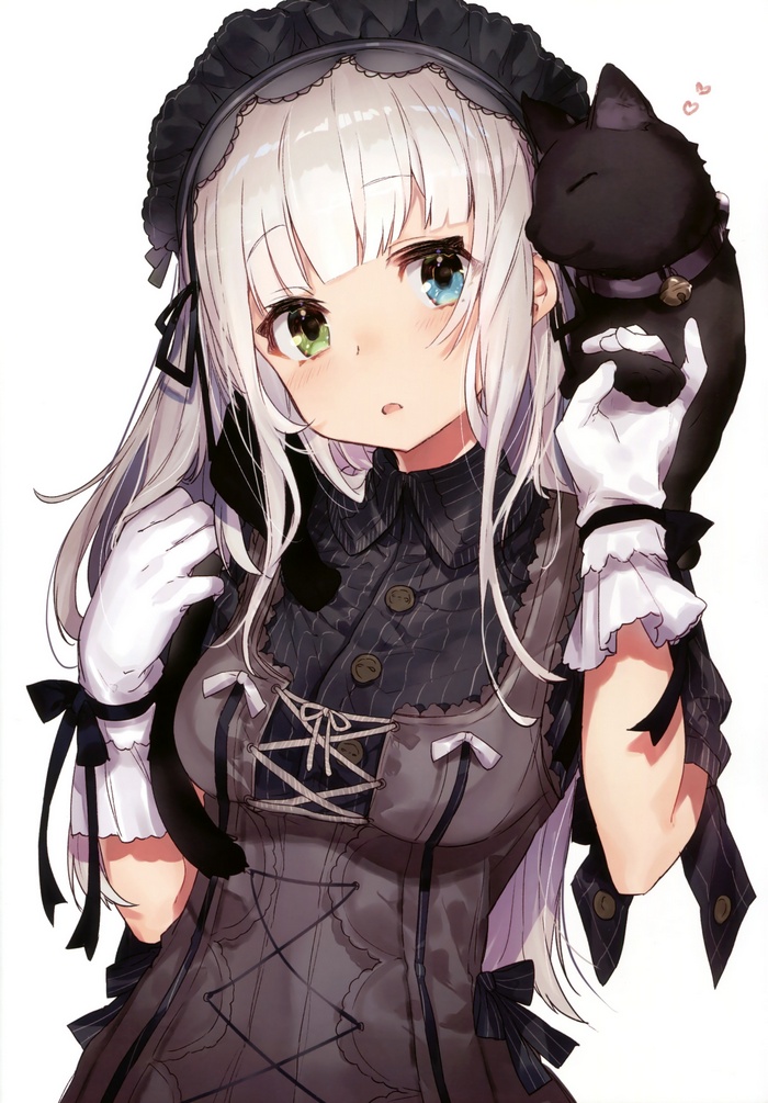 Anime girl with gray hair and heterochromia holding a black cat