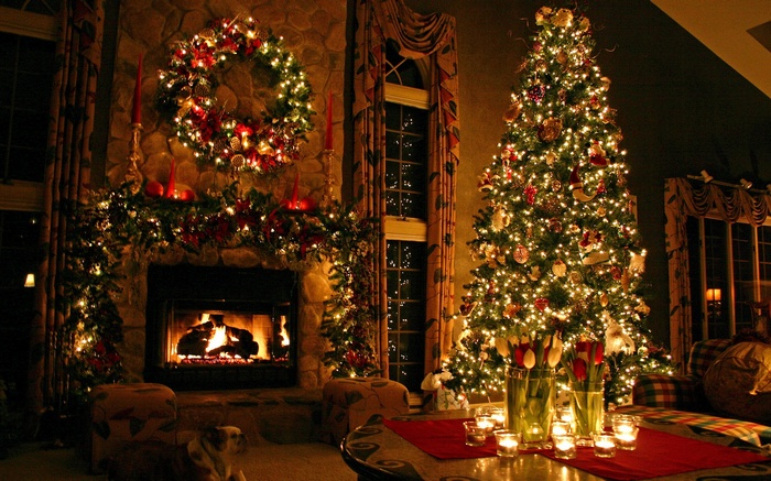 cozy, Christmas Tree, decorations, holiday, Christmas ornaments , dog, Christmas, long exposure, fireplace