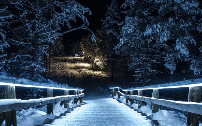 Snowy wooden stairs at night with lights