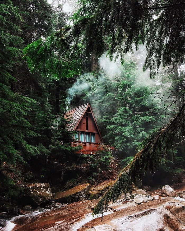 Cabin in a dense forest with a river