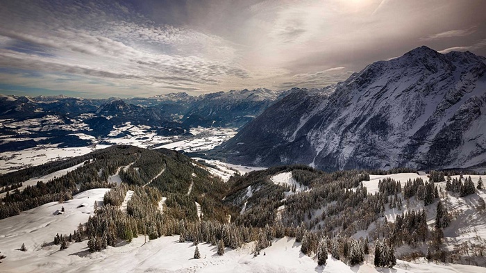 Snowy mountains and pine trees landscape