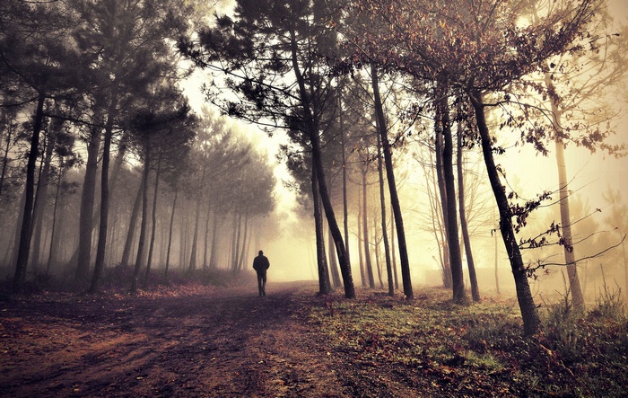 Person walking on a path in a foggy forest