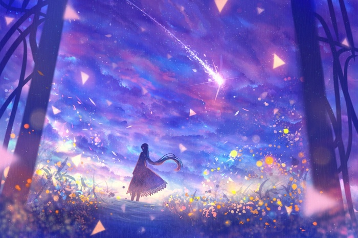 Anime girl watching a shooting star in a field of flowers