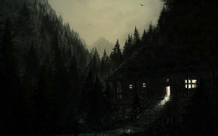 Dark forest with a cabin and birds