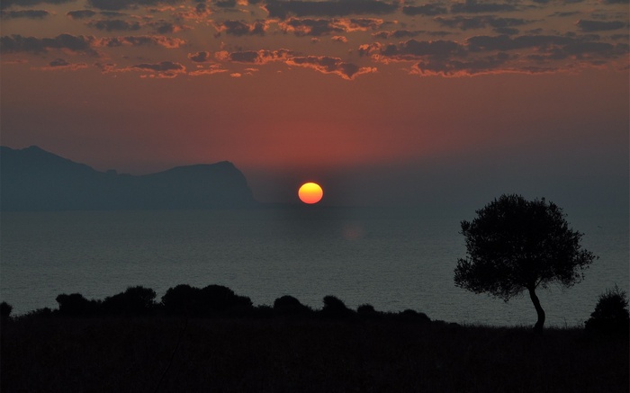 Sunset over the sea with mountains and a tree