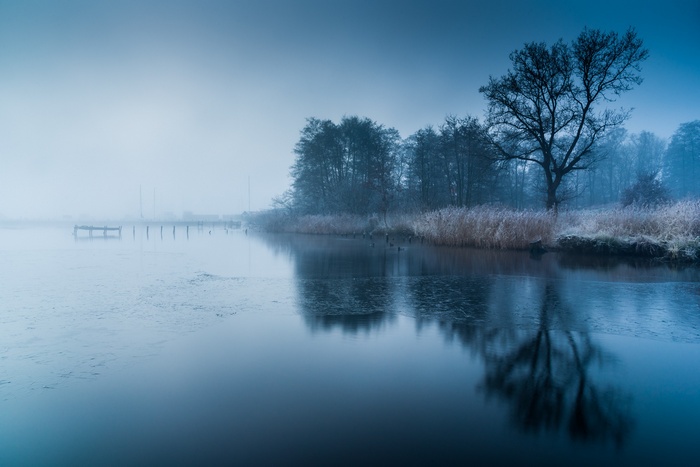 Frozen lake with trees and a dock in fog