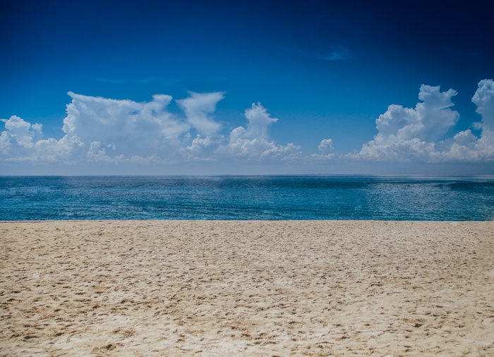 Beach and Ocean under Blue Sky