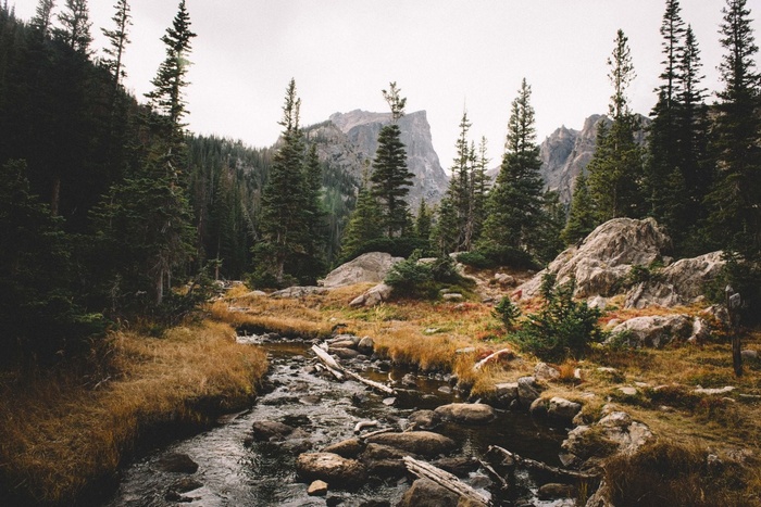 Mountain stream flowing through a forest with rocky terrain