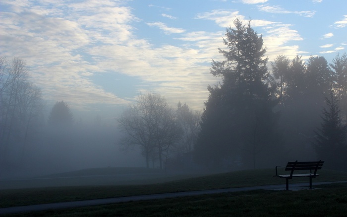 Park bench in the fog with trees and clouds