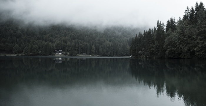 Misty lake with pine forest and house